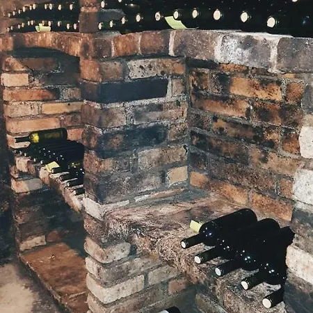 Pod Vinicí