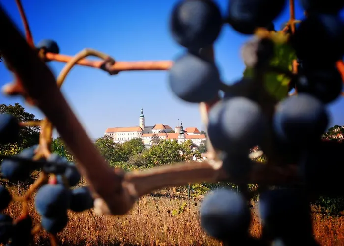 Pod Vinici Pensionat Mikulov